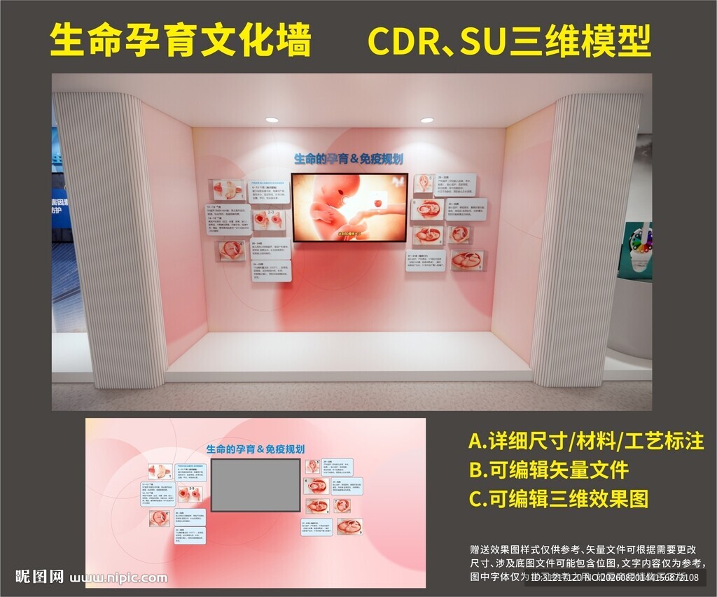 生命的孕育文化墙