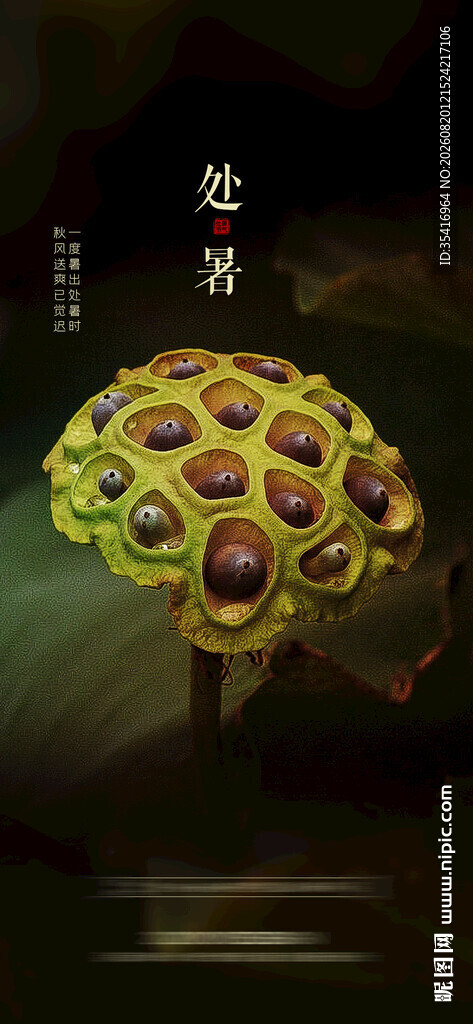 处暑