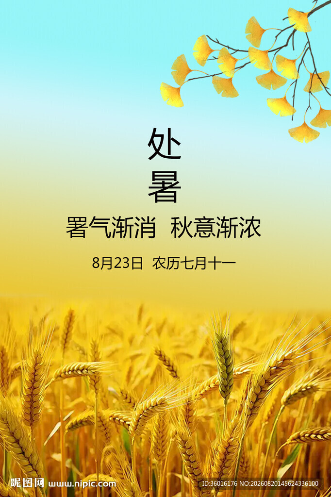 处暑 麦田 秋意