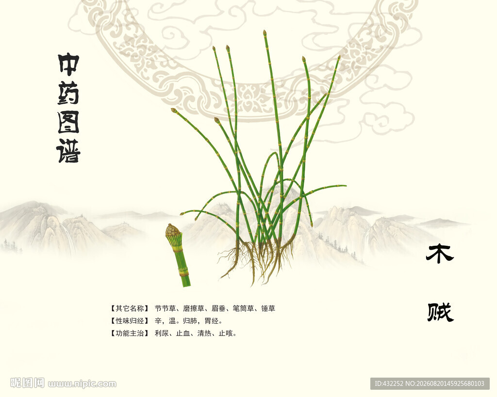 中药木贼接骨草