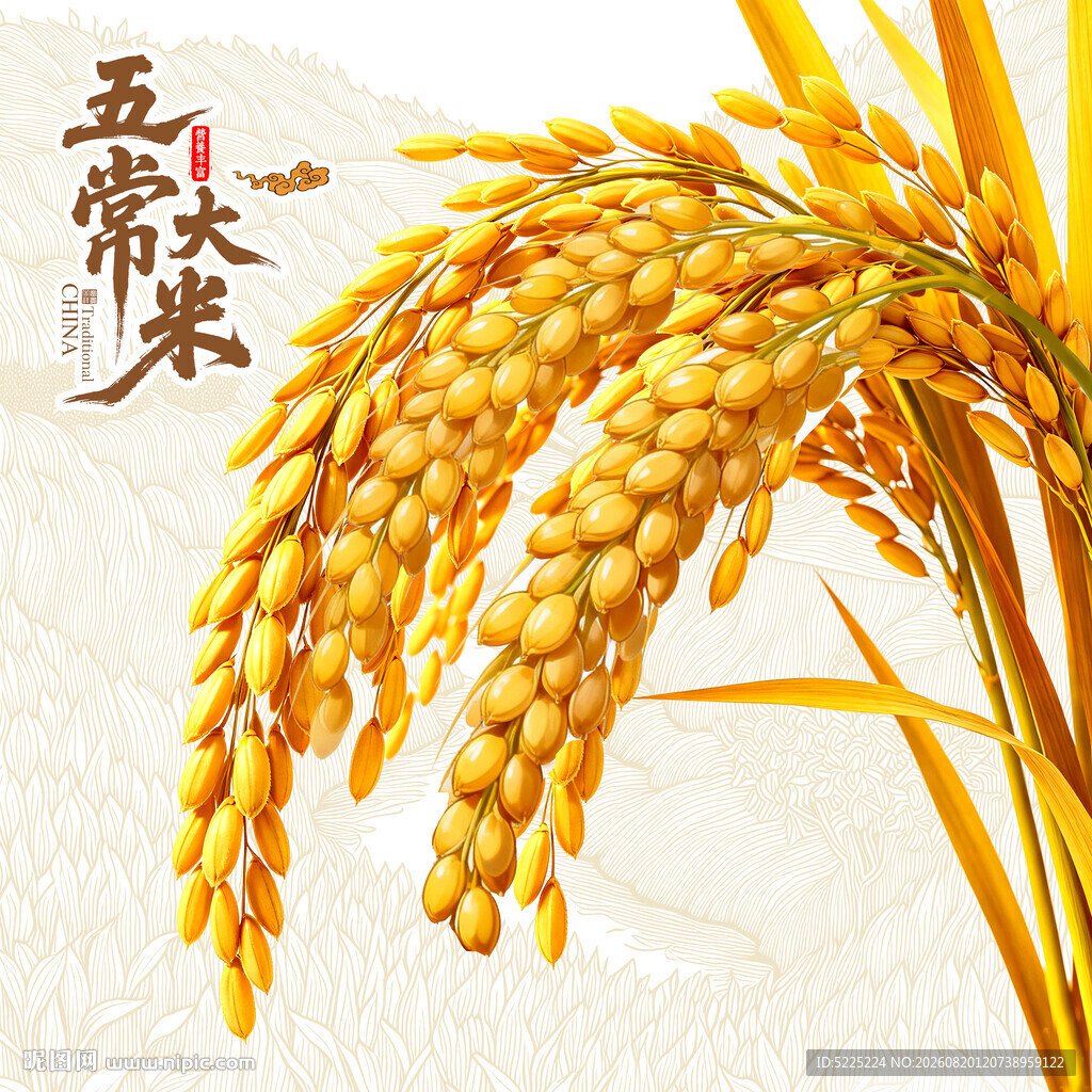 五常大米