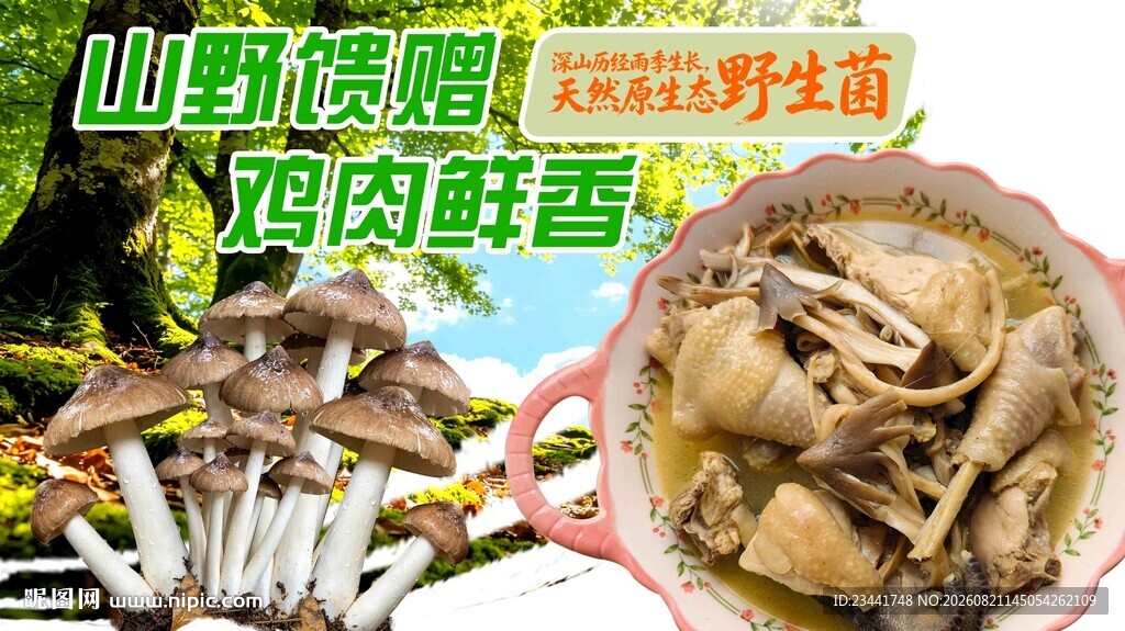 鸡枞炖鸡