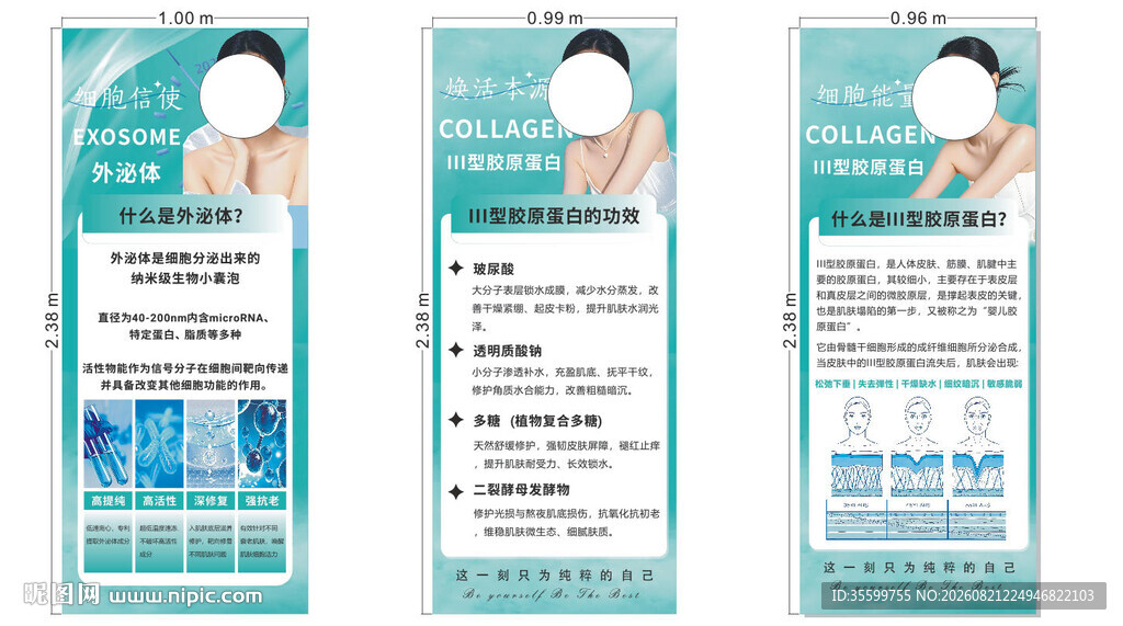 美容护肤项目宣传海报