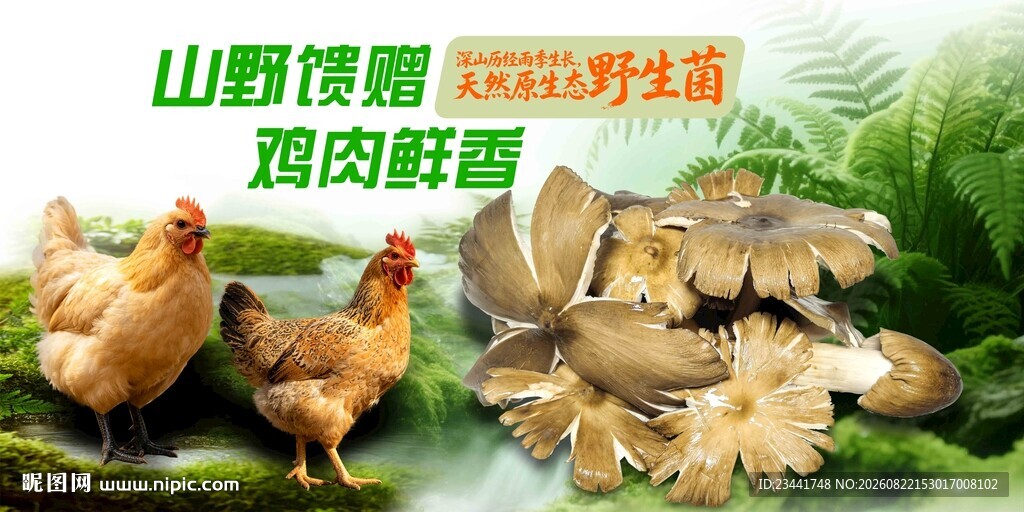 野生菌广告  