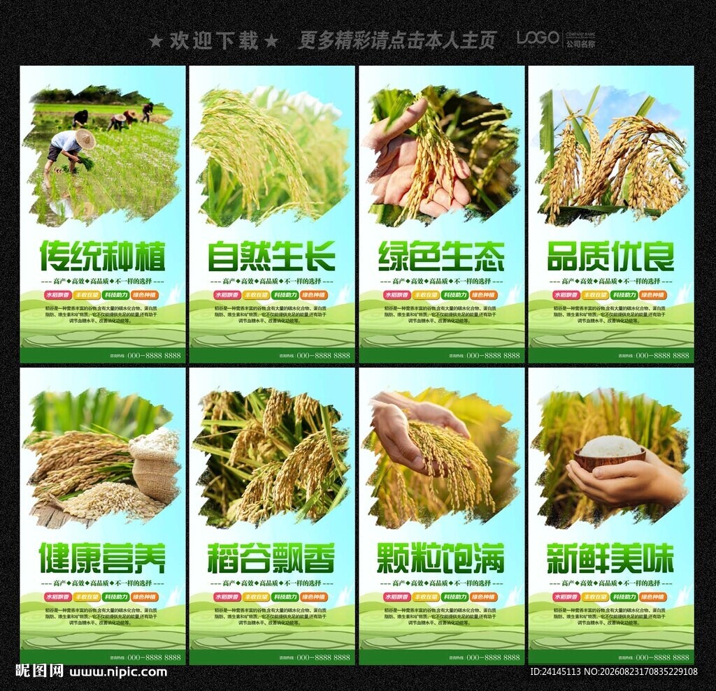 水稻