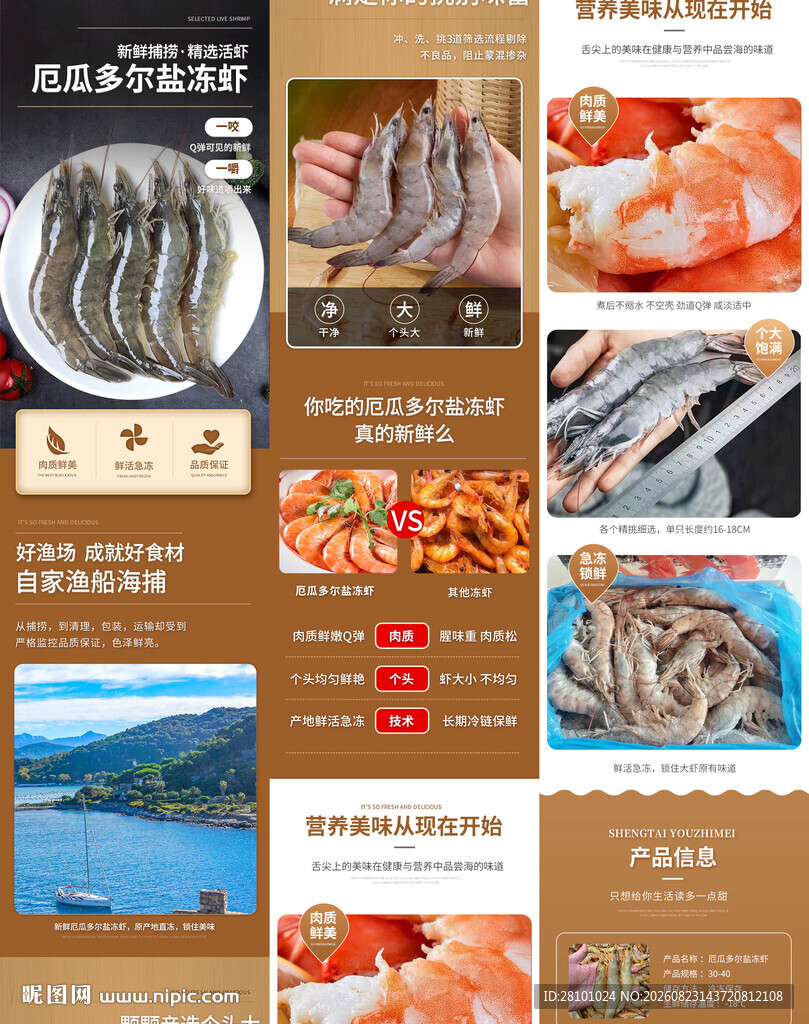 虾详情