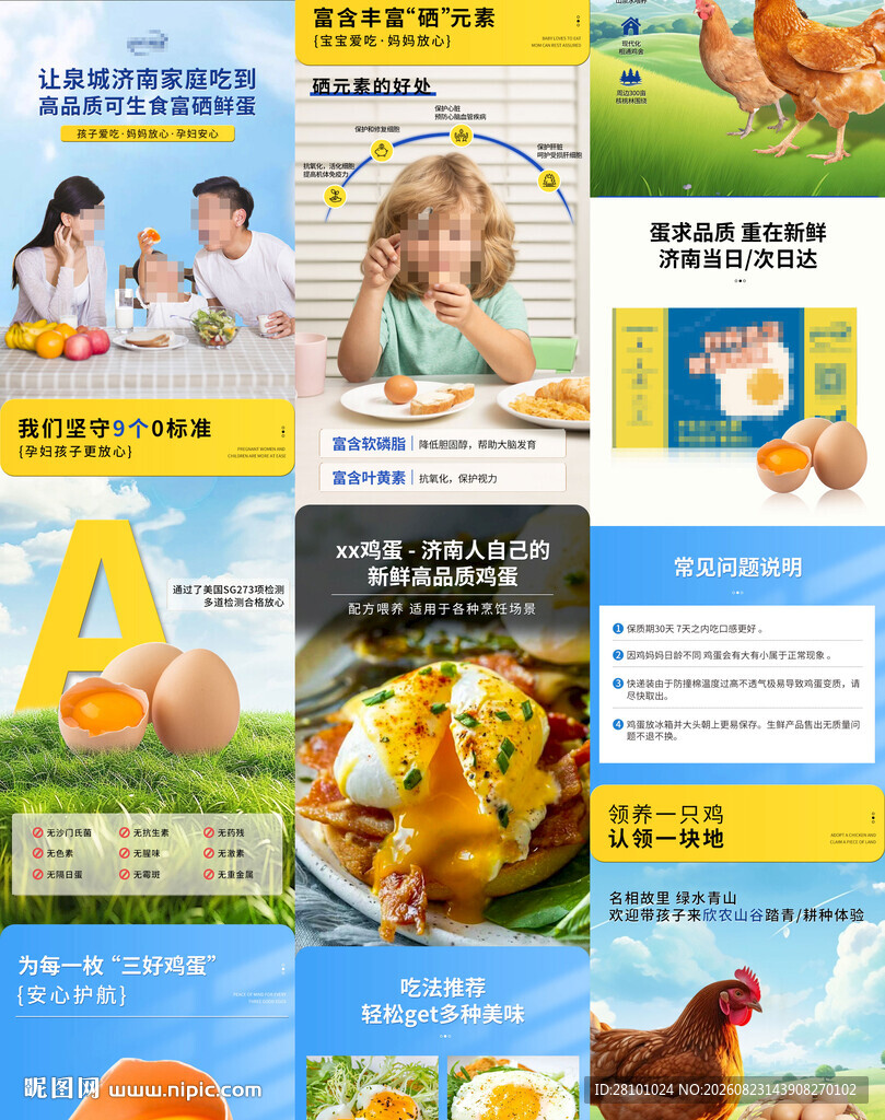 鸡蛋详情