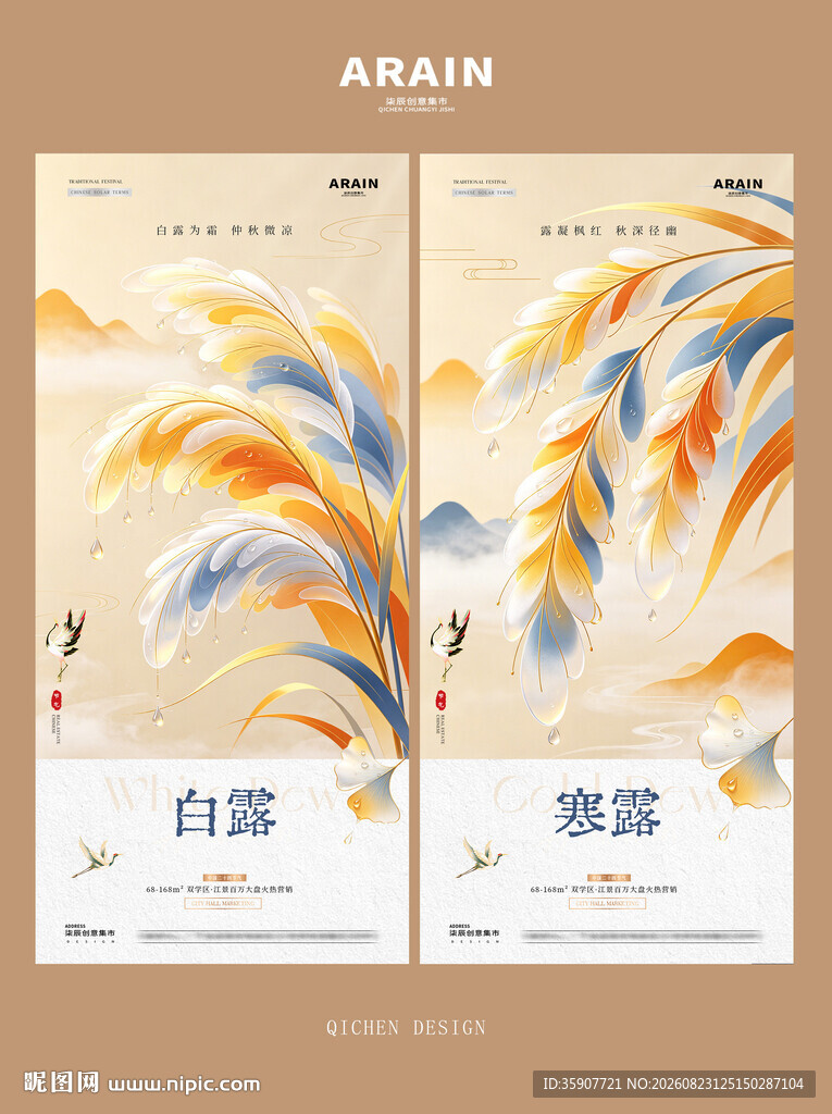 白露寒露芦苇露珠海报