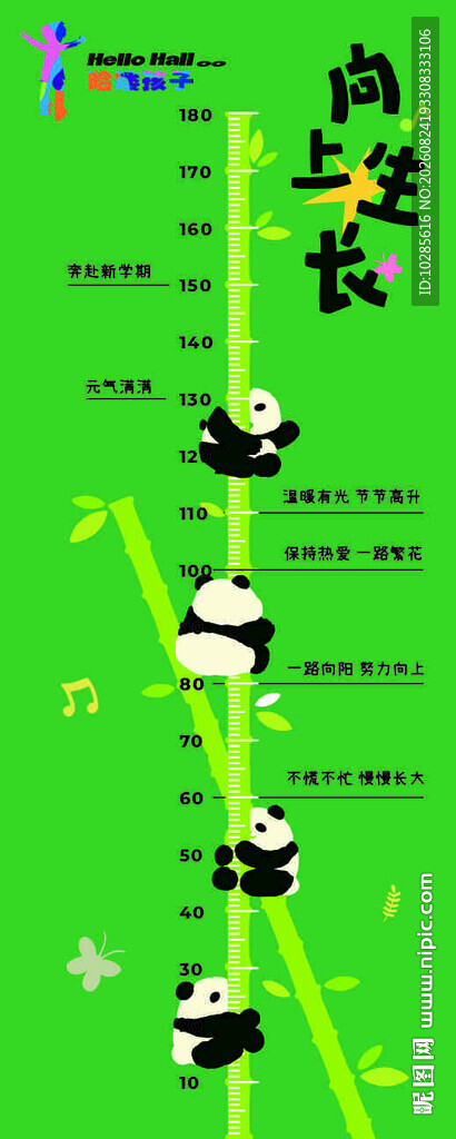 熊猫竹林嬉戏身高丈量图 