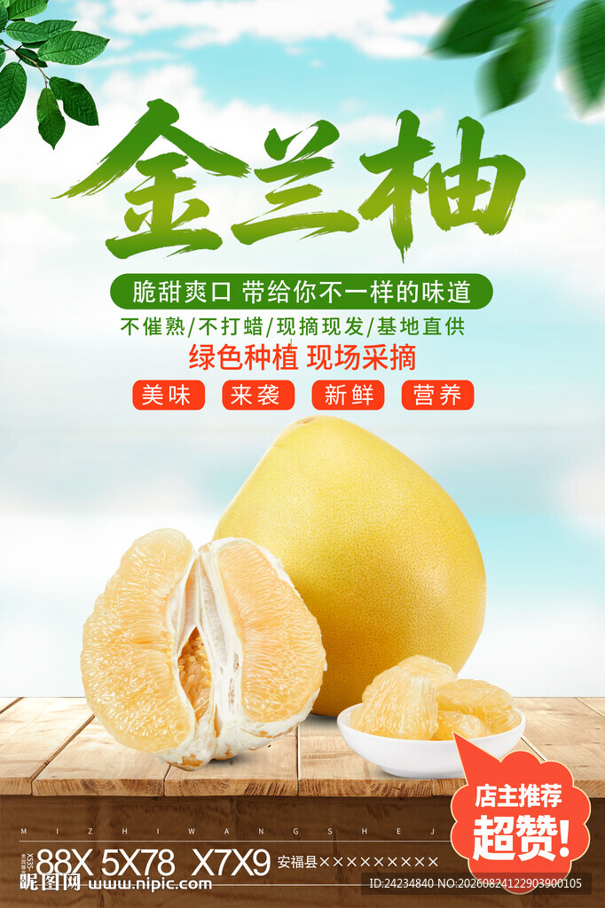 金兰柚