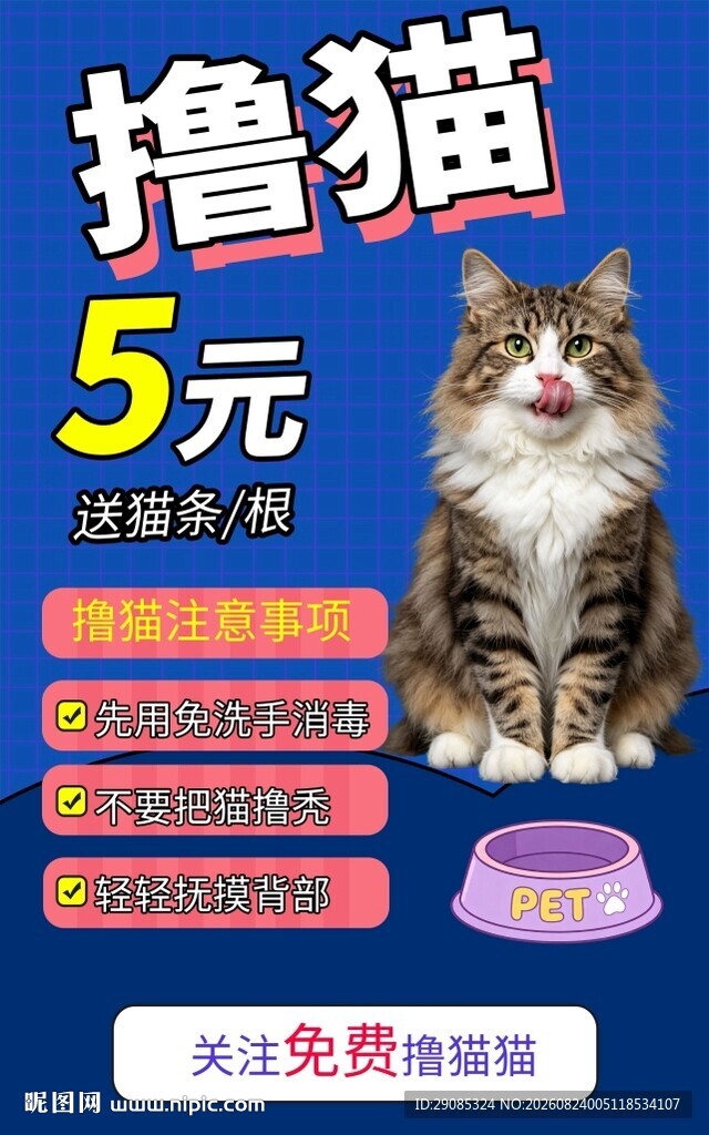 宠物海报撸猫馆体验促销海报
