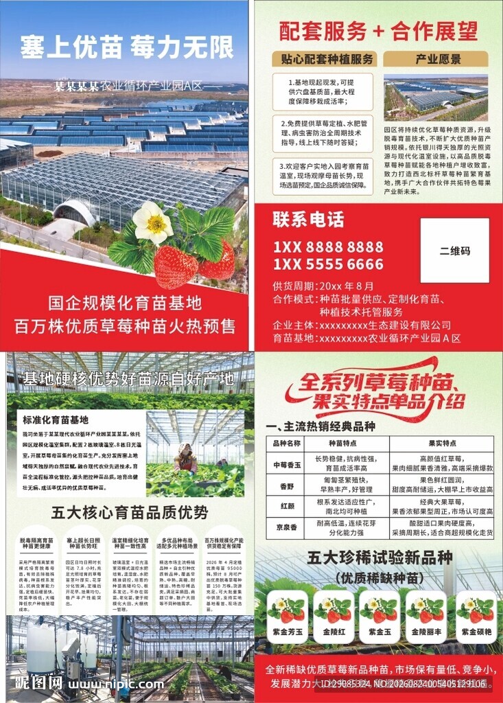 草莓海报育苗基地宣传折页