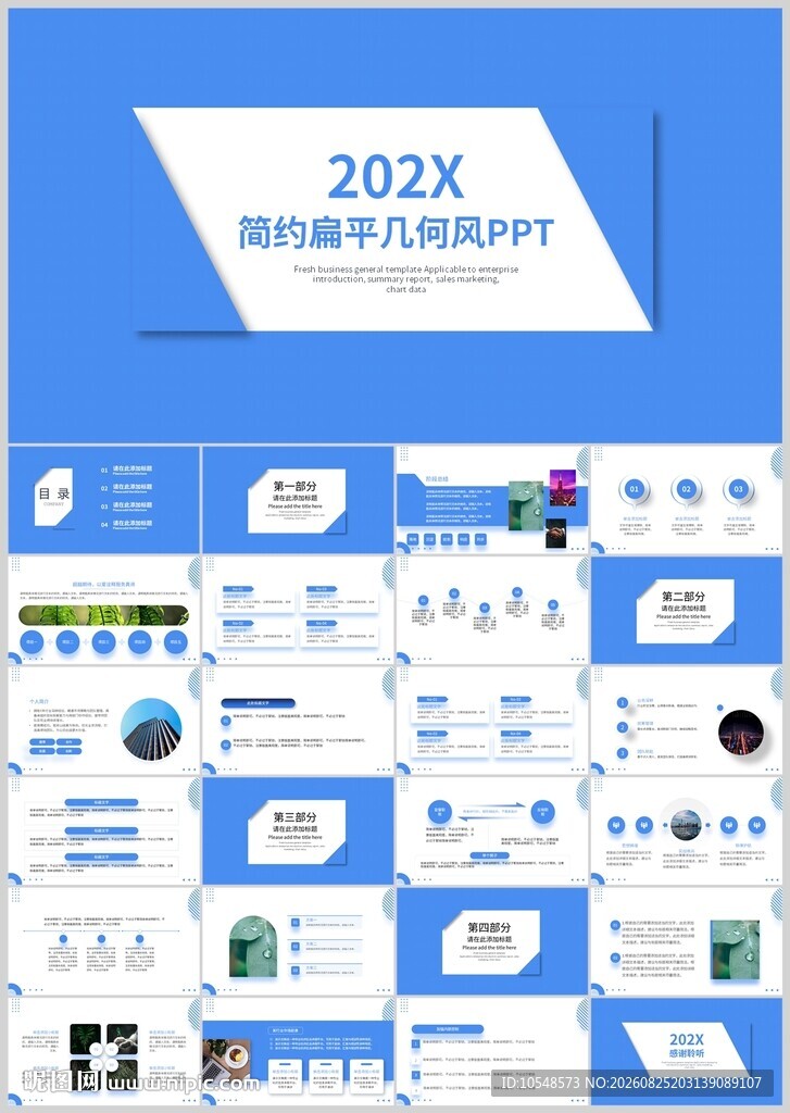 202X商务风PPT模板展示