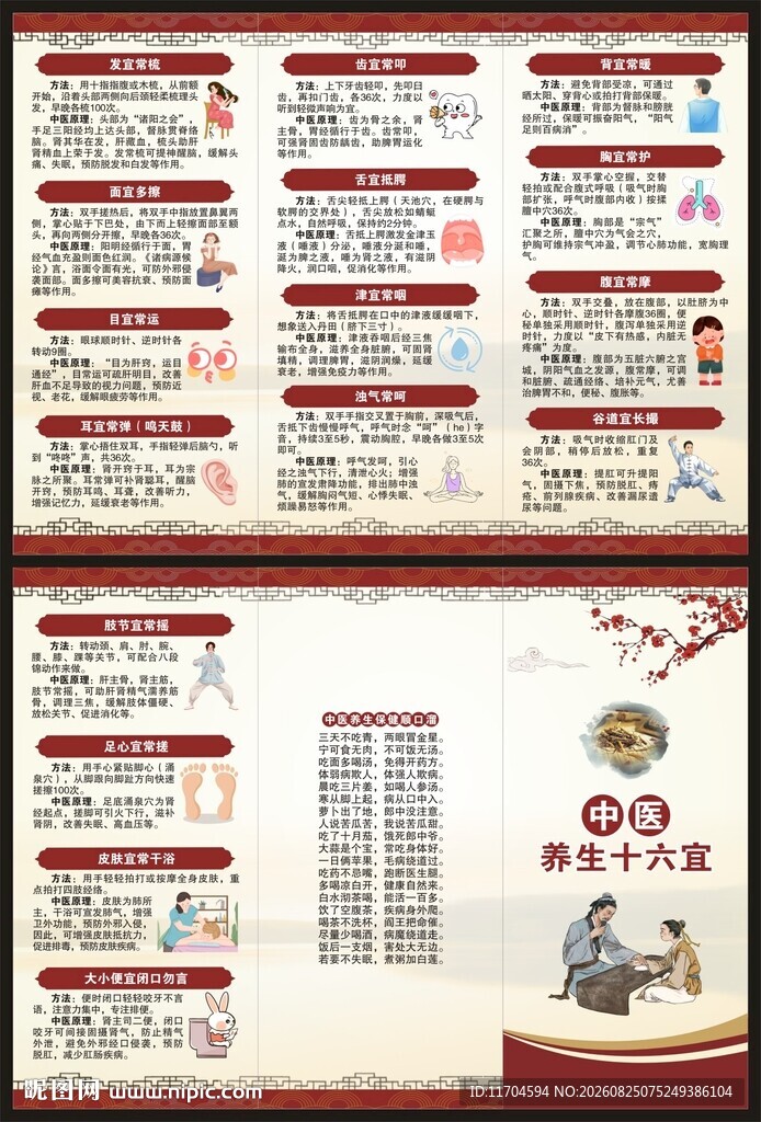 中医养生知识三折页