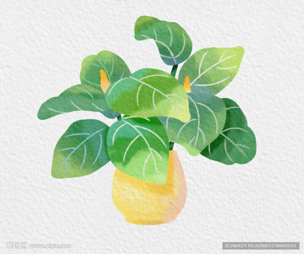 水彩绘绿植花瓶插画