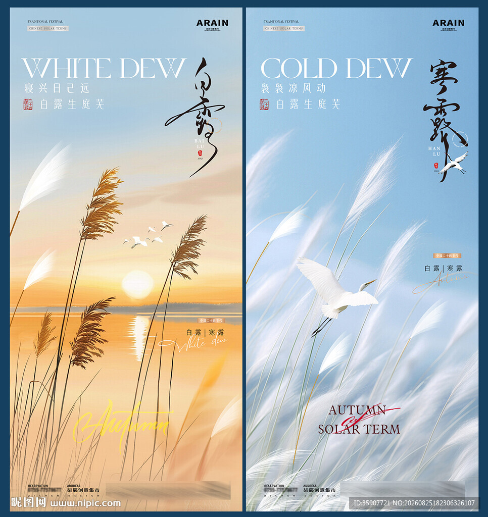 白露寒露湖面自然风景海报