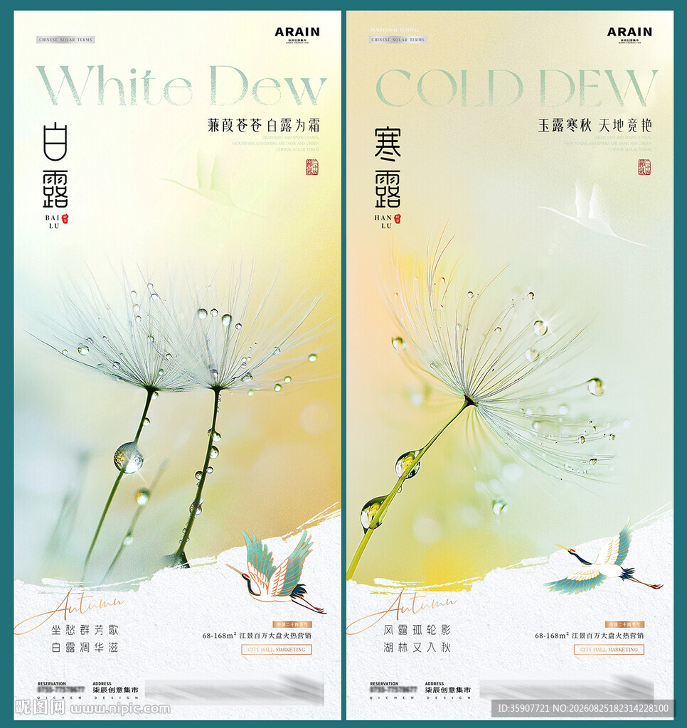 白露寒露树叶露珠海报