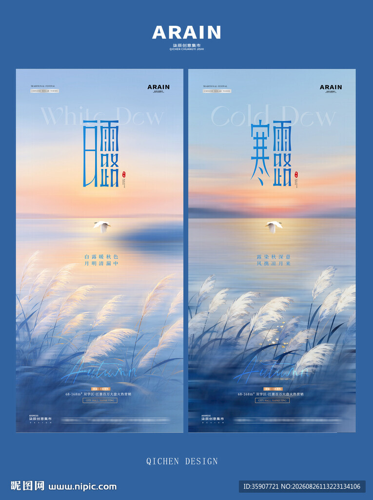 白露寒露芦苇意境风景海报
