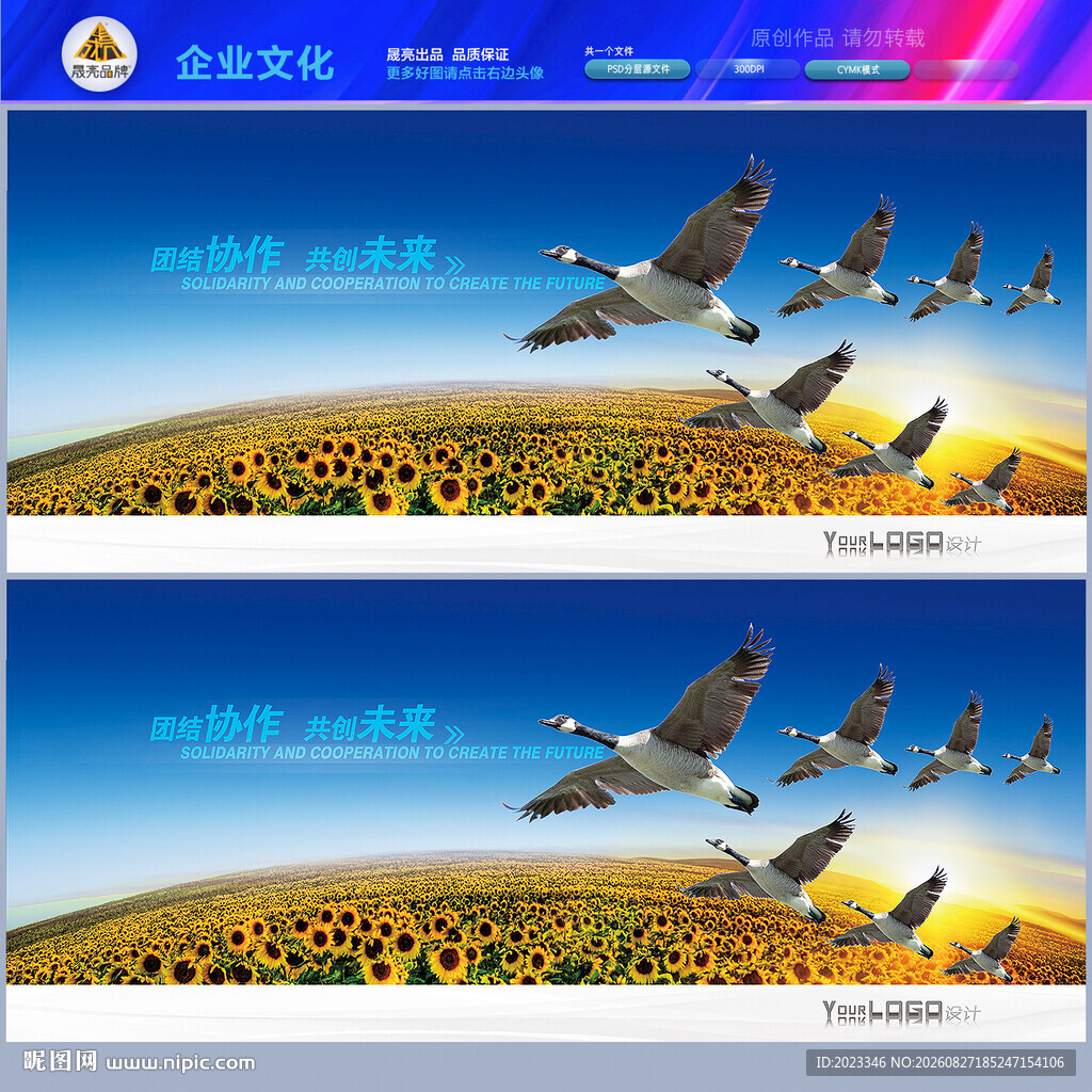 团结合作篇
