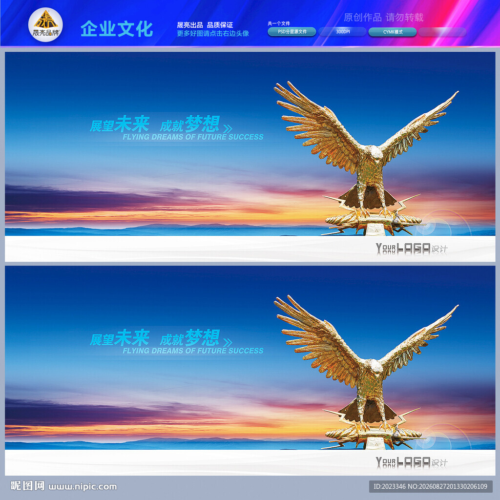 鹰飞鹰雄鹰
