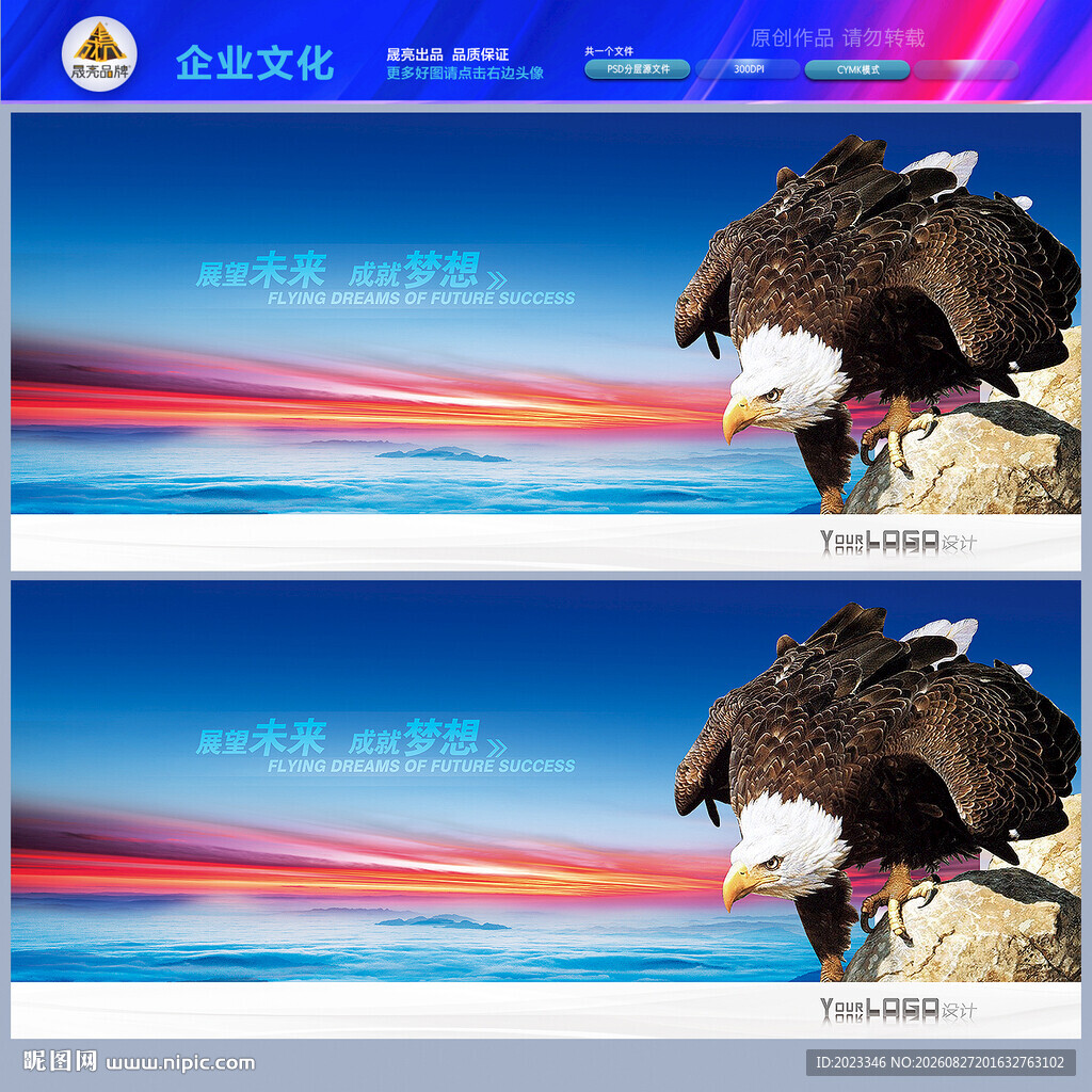 鹰飞鹰老鹰