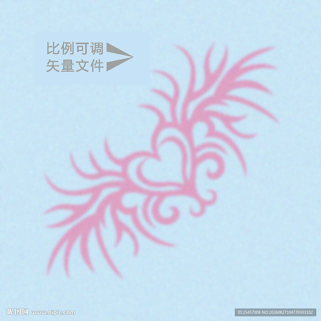 尖刺卷草 