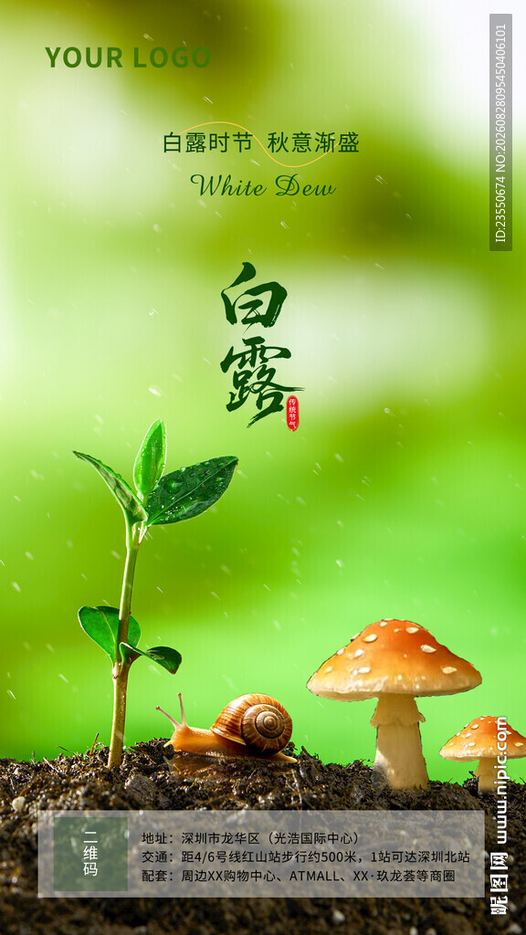 白露海报