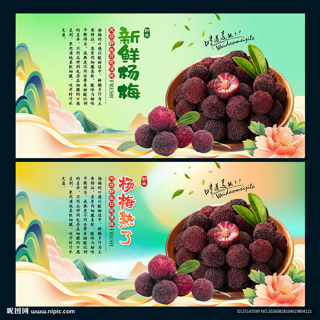 杨梅