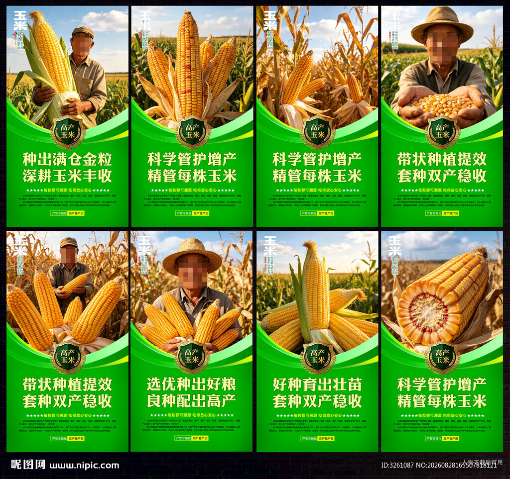 玉米