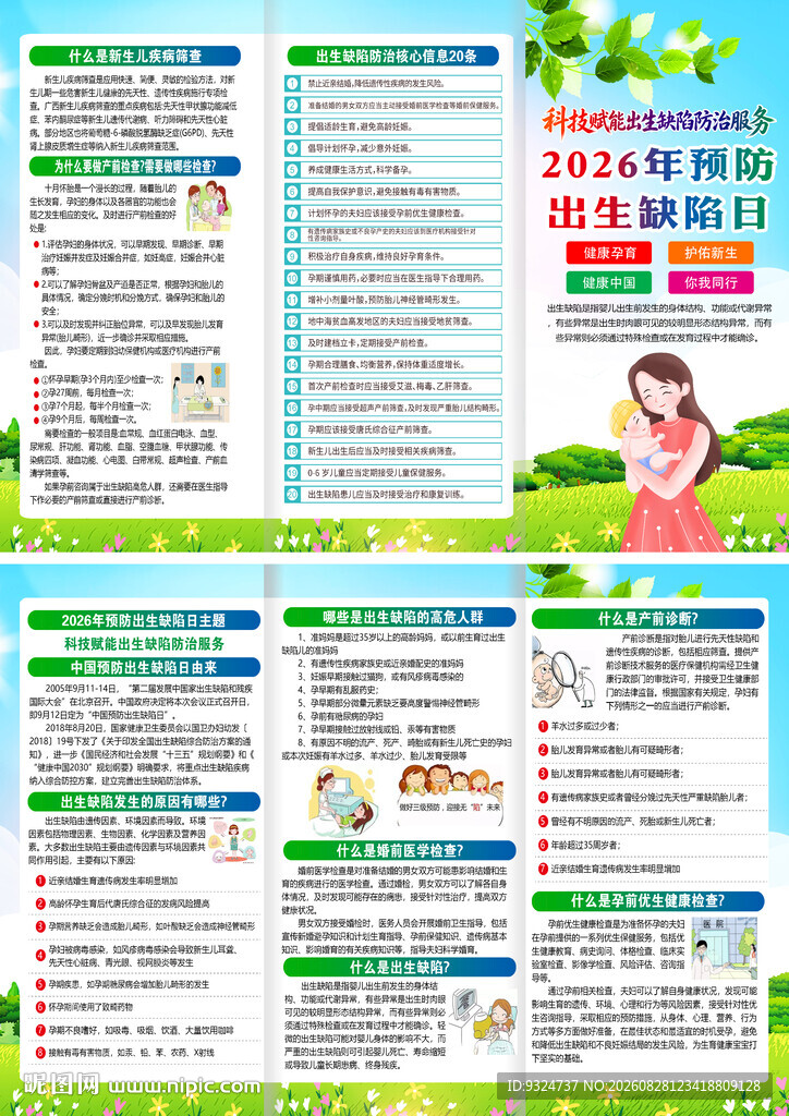 2026年预防出生缺陷日三折页
