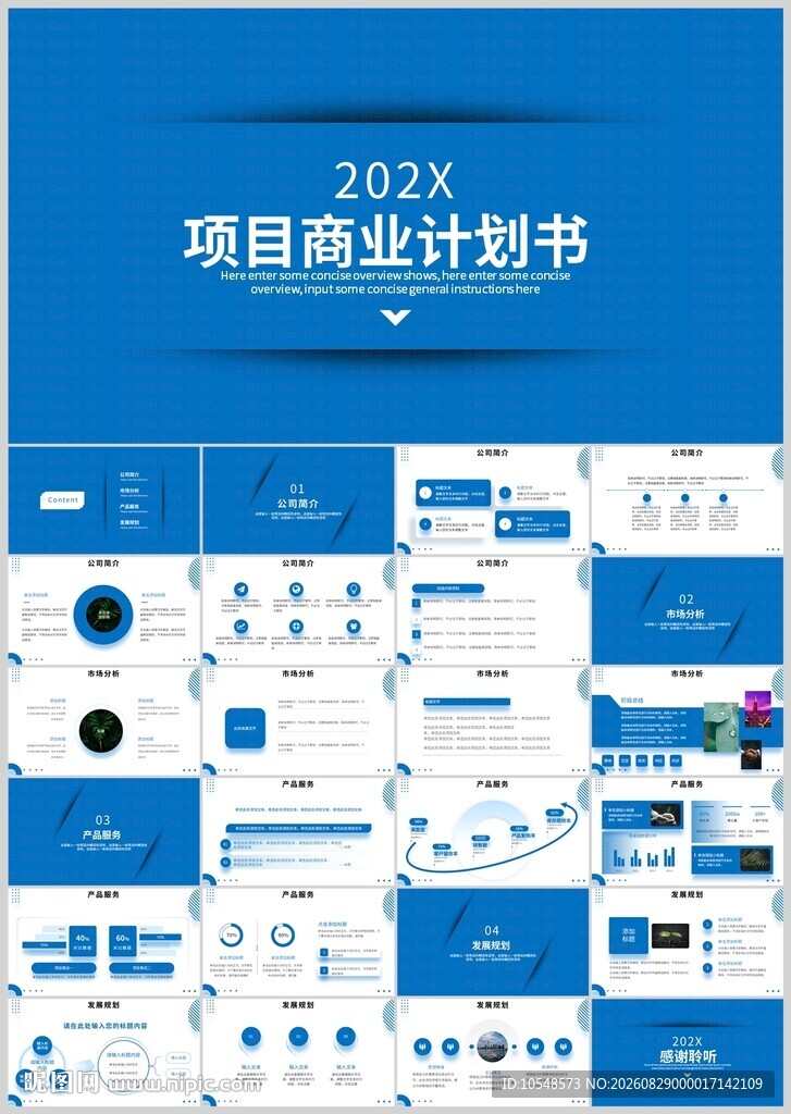 202X项目商业计划书模板