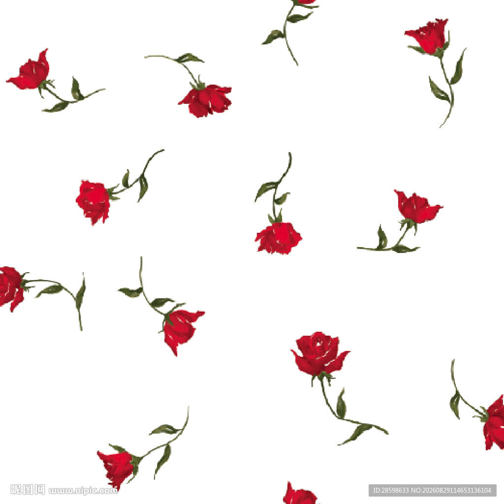 玫瑰花