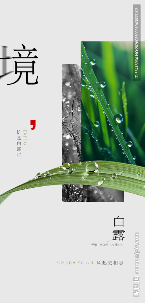 白露