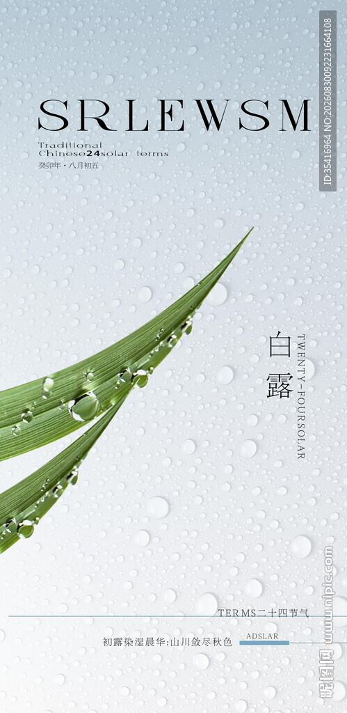 白露