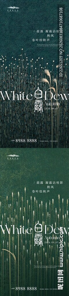 白露