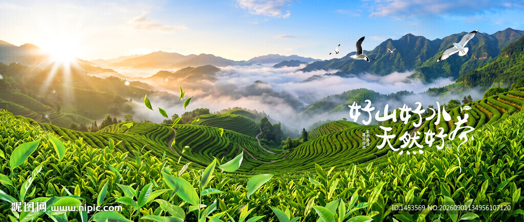 茶山