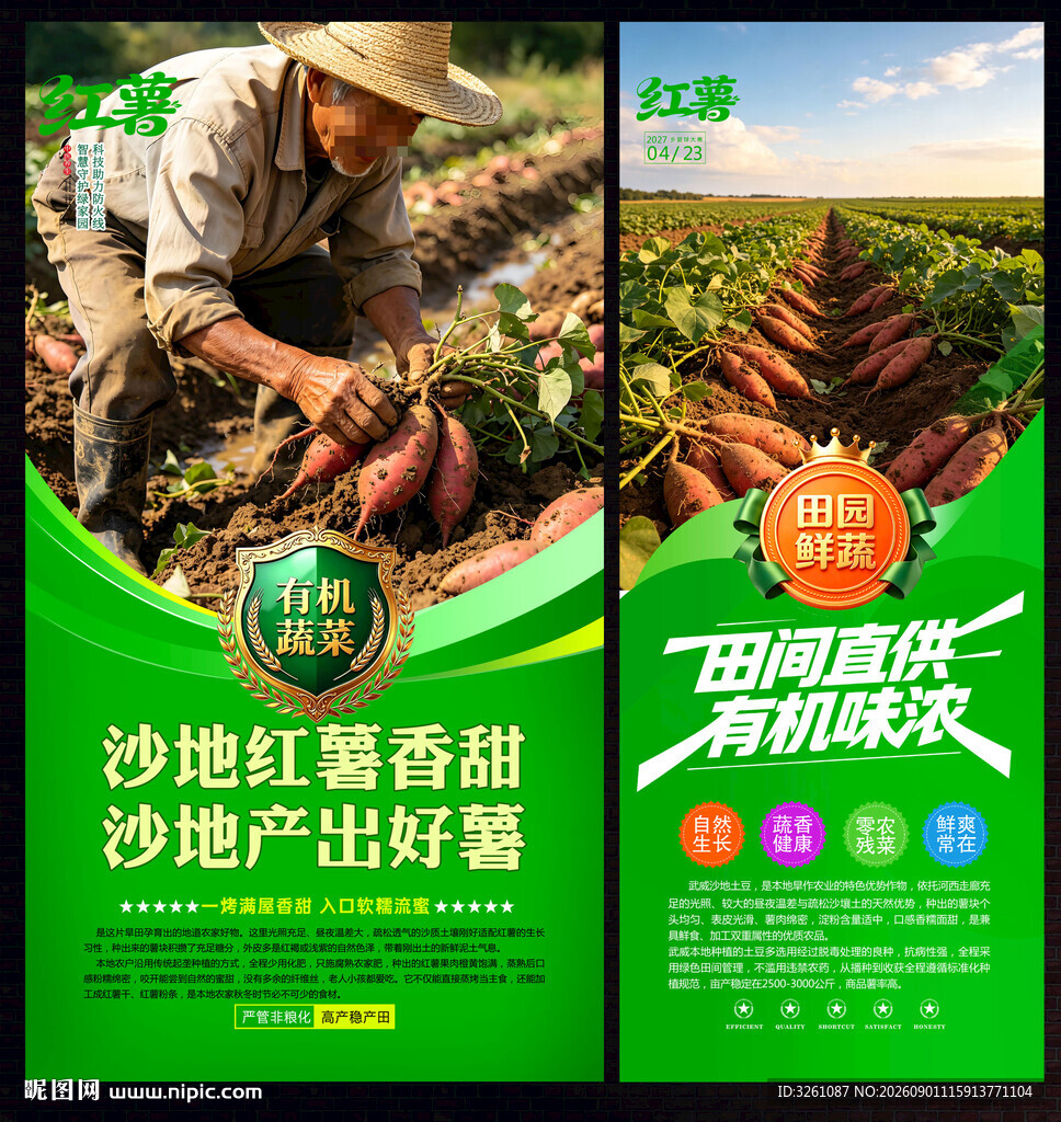 红薯