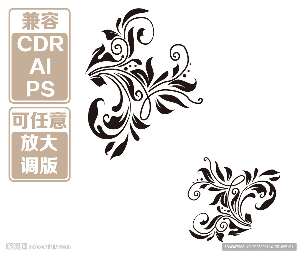 精美花卉装饰图案设计 矢量图