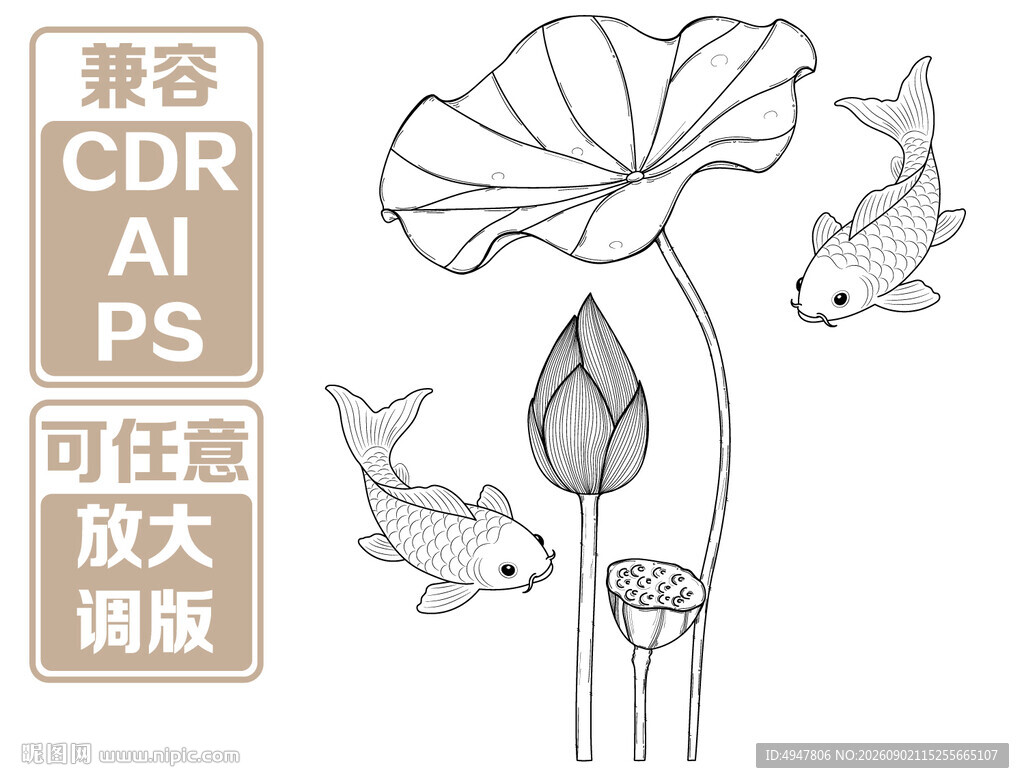 荷花锦鲤矢量插画素材 矢量图