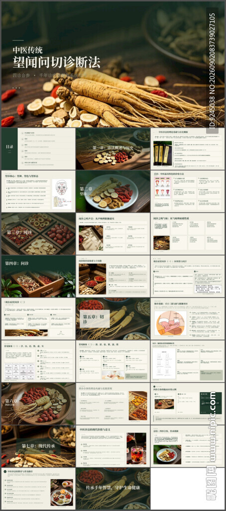 中医传统望闻问切诊断法ppt
