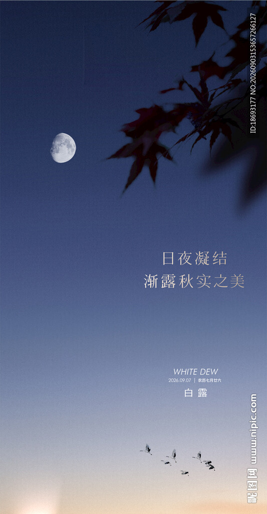 二十四节气 创意质感节气 概念