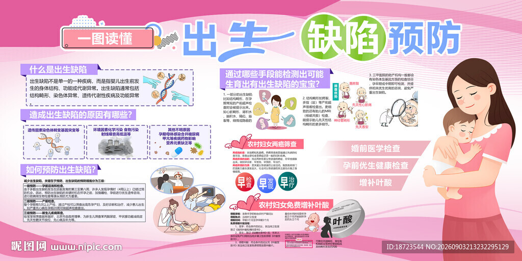 2026年预防出生缺陷展板