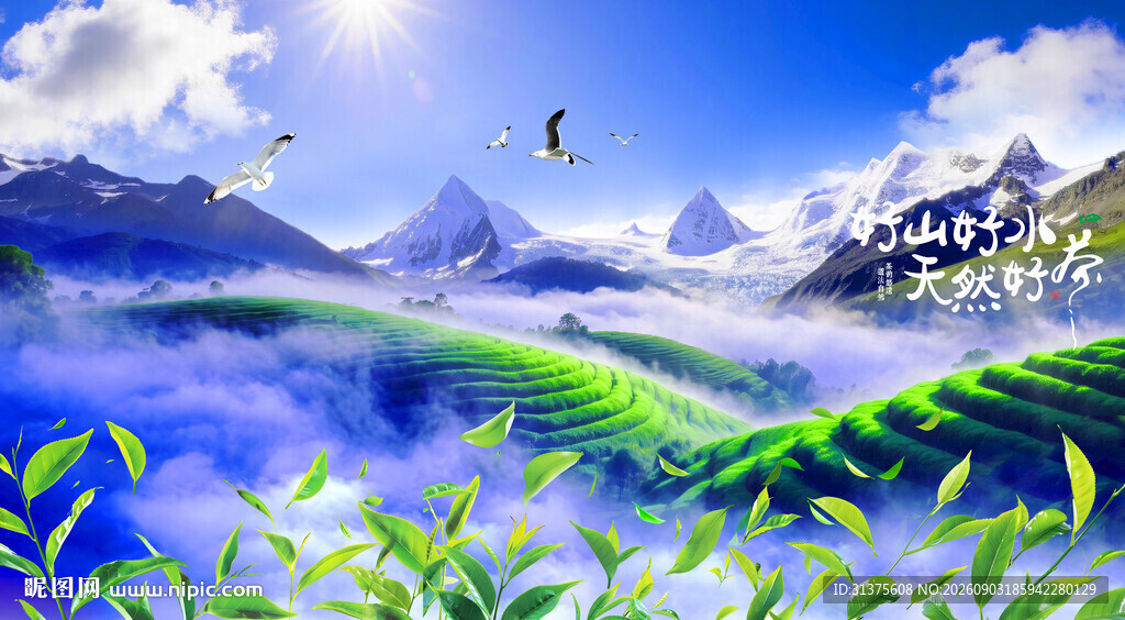 茶山云雾