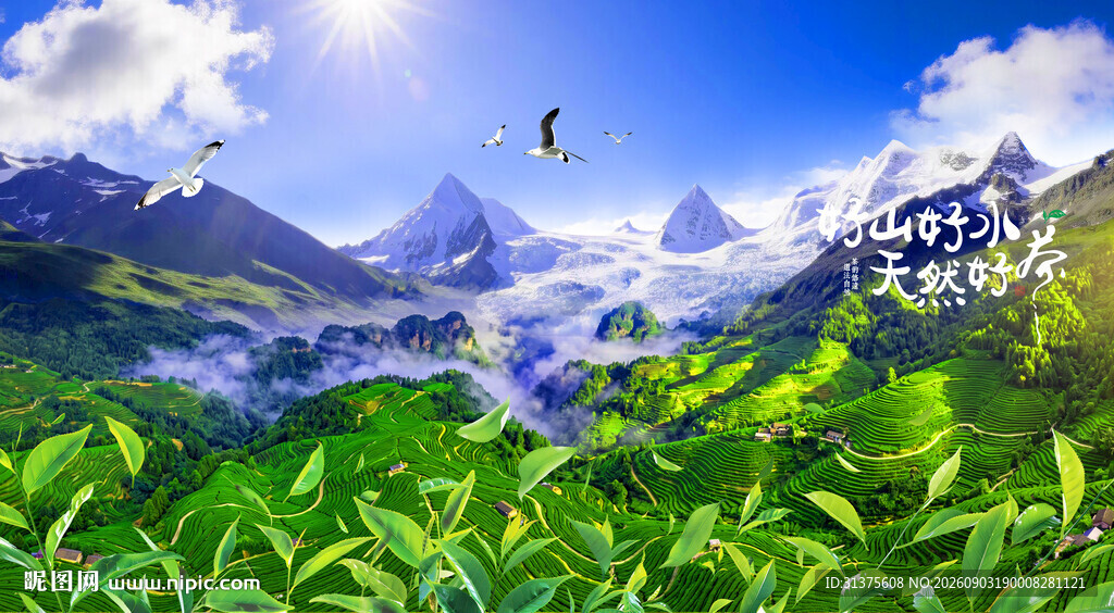 茶山