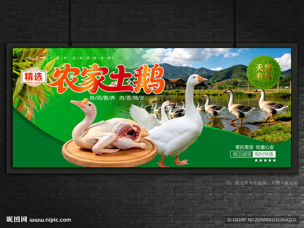 农家土鹅