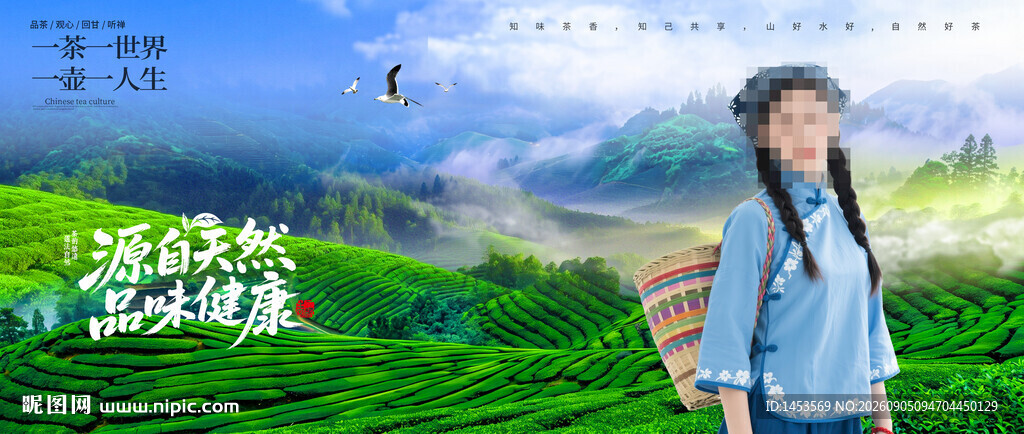 采茶