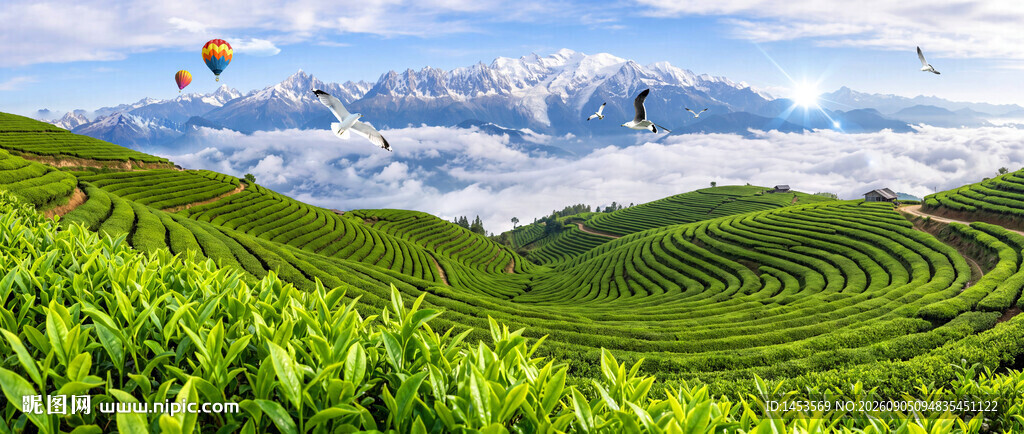茶山