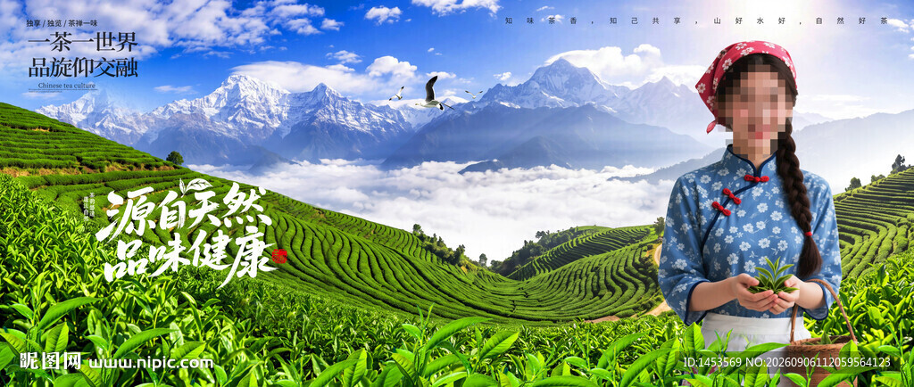 茶园