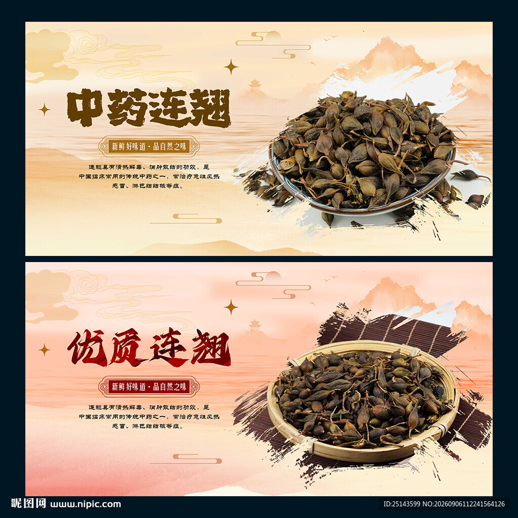 连翘