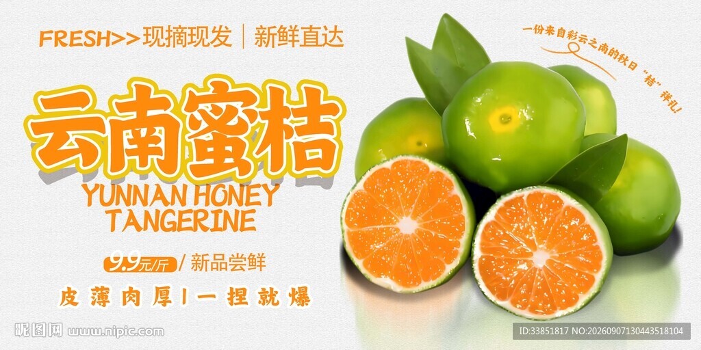 云南蜜桔 
